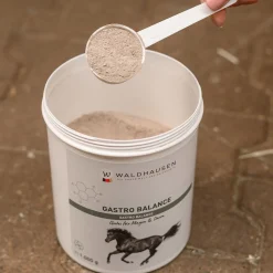 Waldhausen Gastro Balance Powder