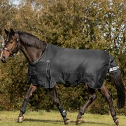 Waldhausen Arctic 300g Turnout Rug
