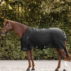 Waldhausen Arctic 50g Turnout Rug