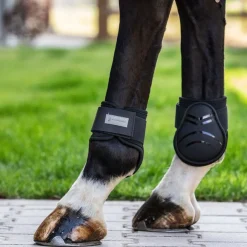 Waldhausen Basic Plus Fetlock Boots