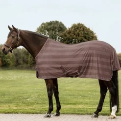 Waldhausen Economic Fly Rug