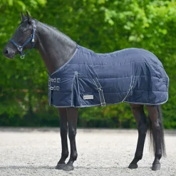 Waldhausen Economy Stable Rug 200g