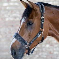 Waldhausen Elegant Halter
