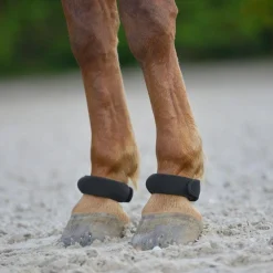 Waldhausen Fetlock Ring