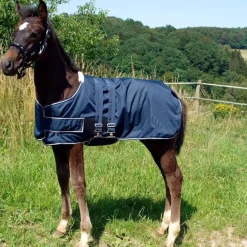 Waldhausen Foal Turnout Rug