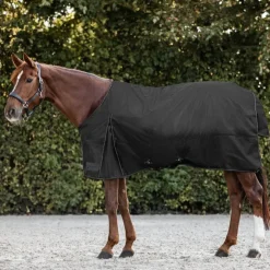 Waldhausen Nordic 300g Turnout Rug