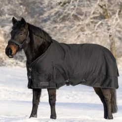 Waldhausen Nordic 300g Turnout Rug