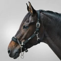Waldhausen Pro Safety Halter