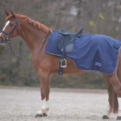 Waldhausen Rain Exercise Sheet With Saddle Gap
