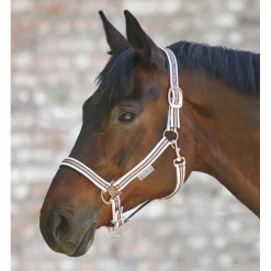 Waldhausen Rose Shine Halter