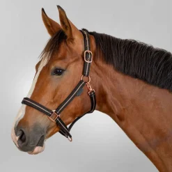 Waldhausen Rosé Halter