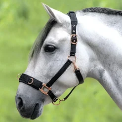 Waldhausen Rosé Lunging Halter