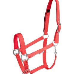 Waldhausen Safety Halter