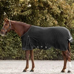 Waldhausen Scandic 100g Turnout Rug
