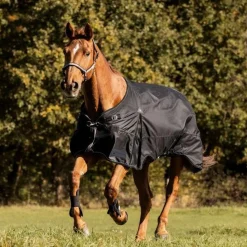 Waldhausen Scandic 50g Turnout Rug