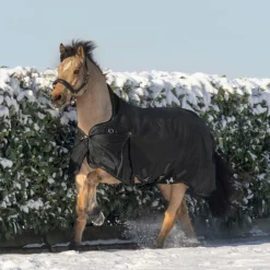 Waldhausen Scandic High Neck 100g Turnout Rug