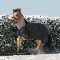 Waldhausen Scandic High Neck Light Turnout Rug