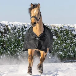 Waldhausen Scandic High Neck Light Turnout Rug