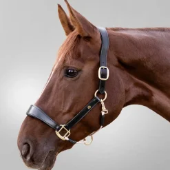 Waldhausen S-Line Royal Leather Halter