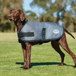Weatherbeeta Comfitec Classic Dog Coat