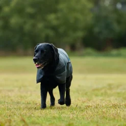 Weatherbeeta Comfitec Classic Waterproof Dog Coat