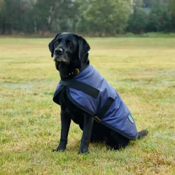 Weatherbeeta Comfitec Classic Waterproof Dog Coat