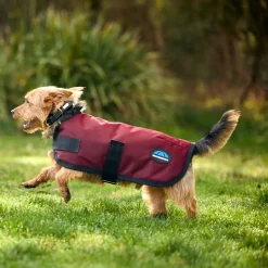 Weatherbeeta Comfitec Classic Waterproof Dog Coat