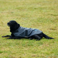 Weatherbeeta Comfitec Classic Waterproof Dog Coat