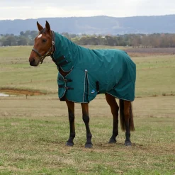Weatherbeeta Comfitec Classic 220G Combo Turnout