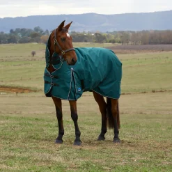 Weatherbeeta Comfitec Classic 220G Combo Turnout