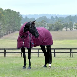 Weatherbeeta Comfitec Essential 220G Combo Turnout