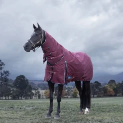 Weatherbeeta Comfitec Essential 220G Detach-A-Neck Turnout