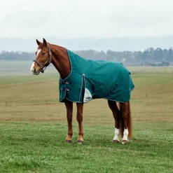 Weatherbeeta Comfitec Plus Dynamic 100G High Neck Turnout