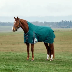 Weatherbeeta Comfitec Plus Dynamic 220G High Neck Turnout