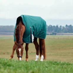 Weatherbeeta Comfitec Plus Dynamic 220G High Neck Turnout