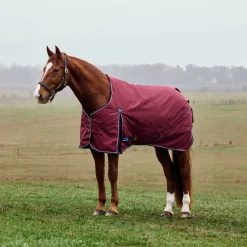Weatherbeeta Comfitec Prelim 0G Turnout