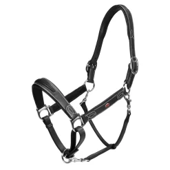 Whitaker Chicago Leather Headcollar