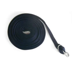 Whitaker Lunge Line