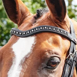 Whitaker Lynton Curved Diamante Browband