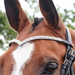 Whitaker Lynton V-Shaped Diamante Browband