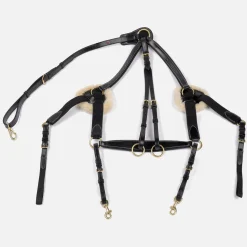 Whitaker Valencia 5 Point Breastplate