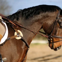 Whitaker Valencia 5 Point Breastplate