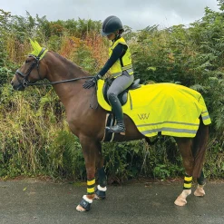 Woof Wear Hi Vis Exercise Sheet