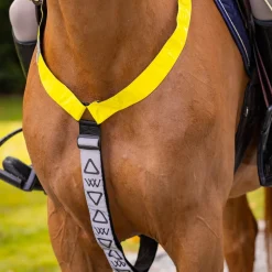 Woof Wear Hi Vis Neck Band