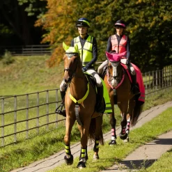 Woof Wear Hi Vis Neck Band