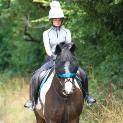 Woof Wear Ride On Fly Mask